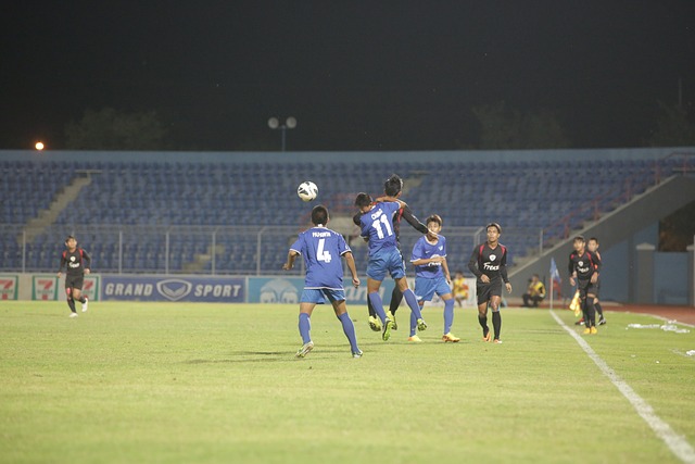 亚半岛的葡 亚半岛的葡