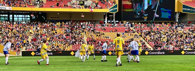 努力的普通 努力的普通