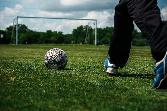 特律活塞 特律活塞