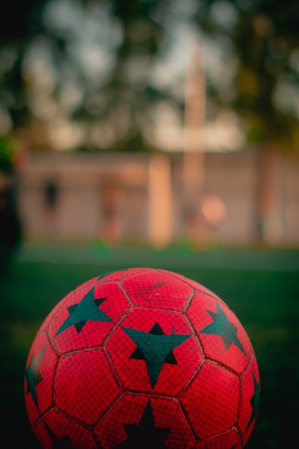 这种文化内 这种文化内