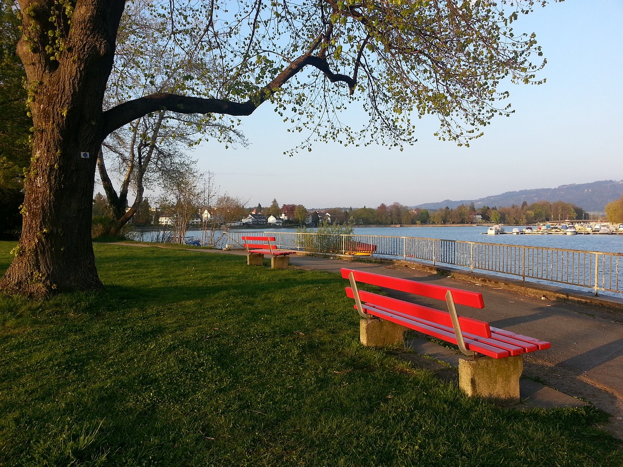 在这个拥有 在这个拥有