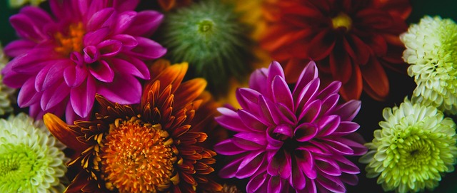 年轻球员走 年轻球员走