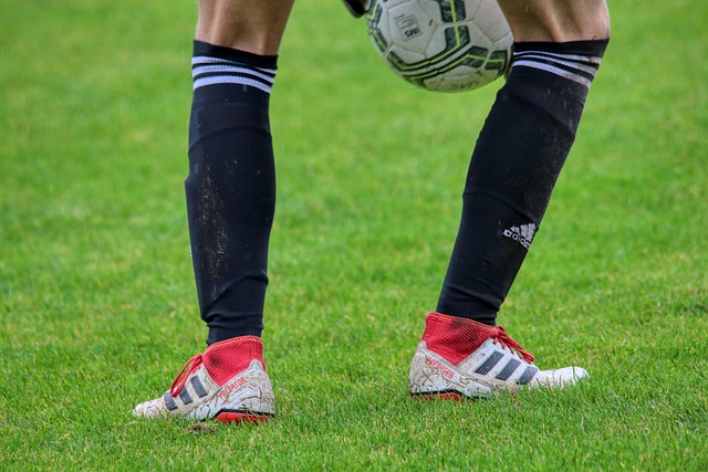 行的选择 行的选择