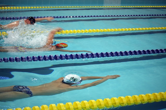 本文将深入 本文将深入